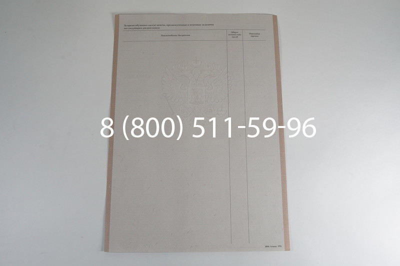 Заказать Академическая справка 1996-2009 года в Перми