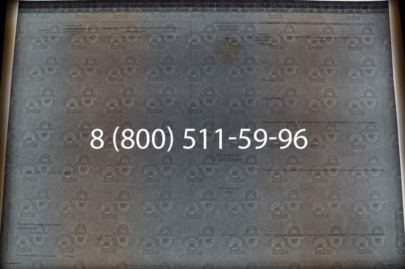 Заказать Диплом бакалавра (Киржач) 2014-2026 года в Перми