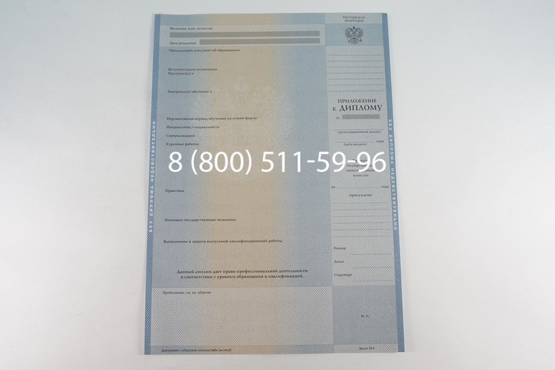 Диплом бакалавра 2003-2009 годов в Перми