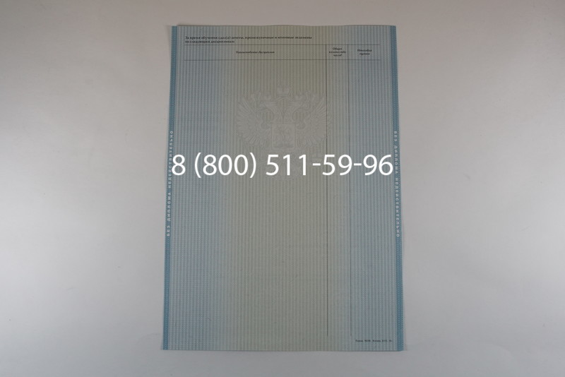 Диплом бакалавра 2012-2013 годов в Перми