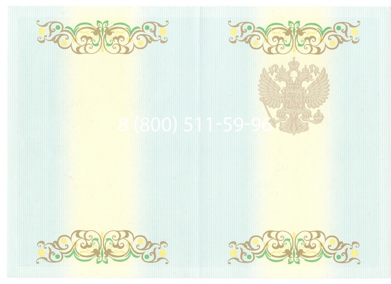 Купить Диплом бакалавра 2012-2013 годов в Перми