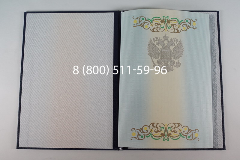 Диплом бакалавра 2012-2013 годов в Перми