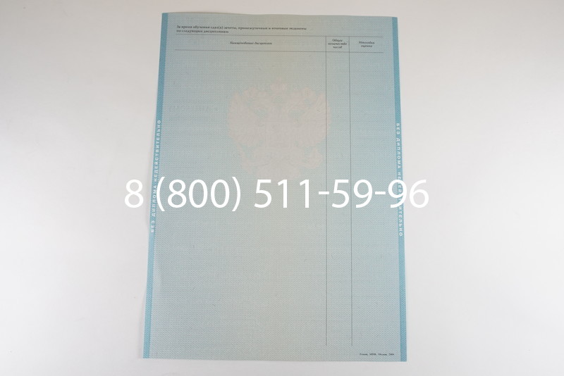 Диплом бакалавра 2010-2011 годов в Перми