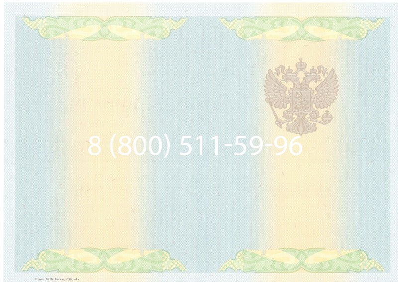 Купить Диплом бакалавра 2010-2011 годов в Перми