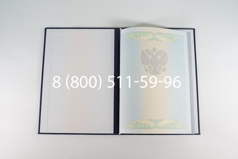 Диплом бакалавра 2010-2011 годов в Перми