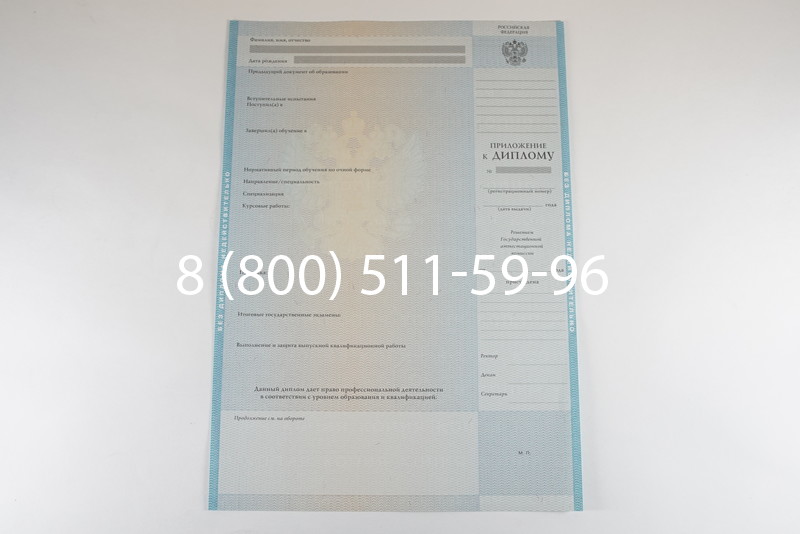 Диплом бакалавра 2010-2011 годов в Перми