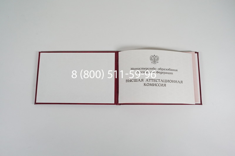 Диплом доктора наук 1995-2006 года в Перми