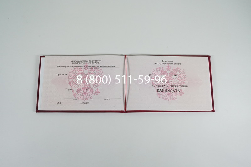 Заказать Диплом кандидата наук 2010 в Перми
