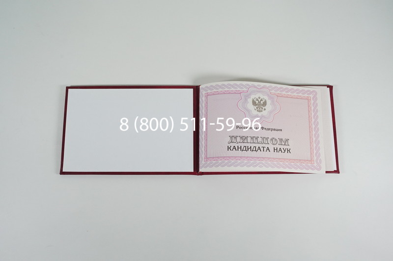 Заказать Диплом кандидата наук 2010 в Перми
