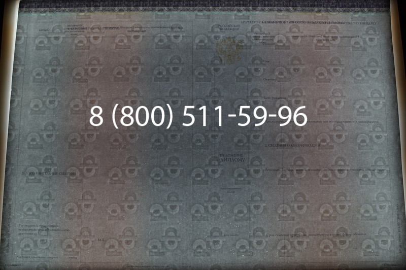 Заказать Диплом магистра (КИРЖАЧ) 2014-2026годов в Перми