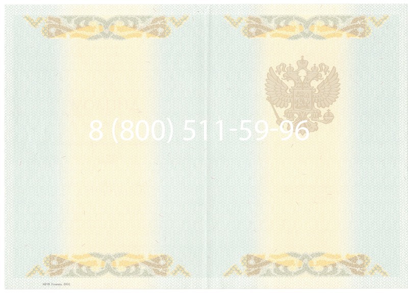 Купить Диплом магистра 2003-2009 годов в Перми