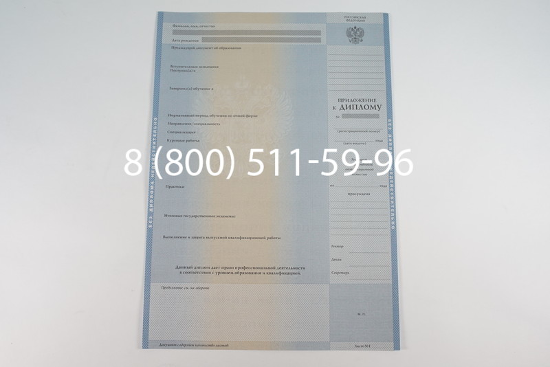 Диплом магистра 2003-2009 годов в Перми