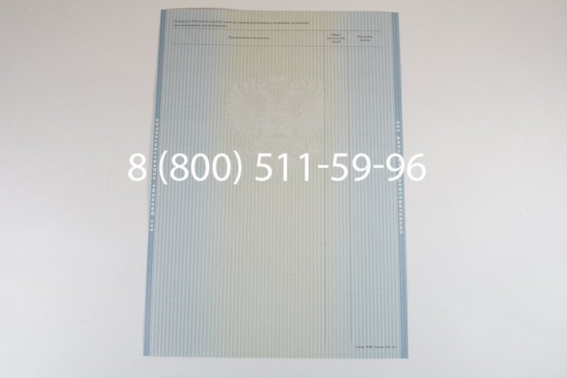 Диплом магистра 2012-2013 годов в Перми