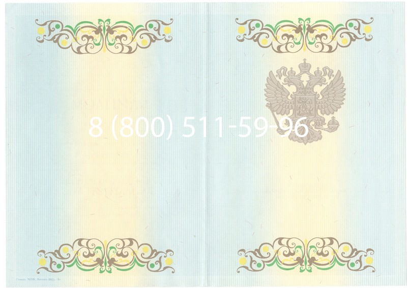 Заказать Диплом магистра 2012-2013 годов в Перми