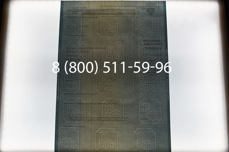 Заказать Диплом магистра 2012-2013 годов в Перми