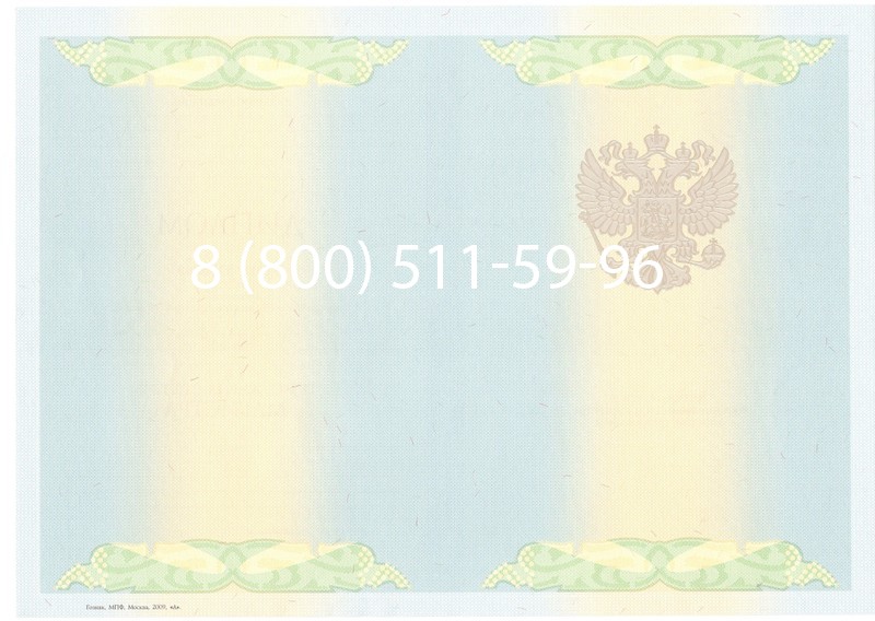 Купить Диплом магистра 2010-2011 годов в Перми