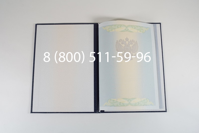 Диплом магистра 2010-2011 годов в Перми