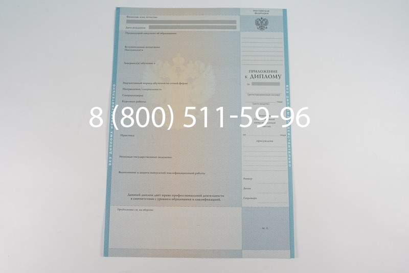 Диплом магистра 2010-2011 годов в Перми