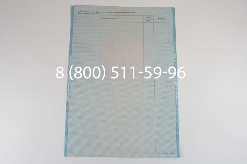 Диплом магистра 2010-2011 годов в Перми