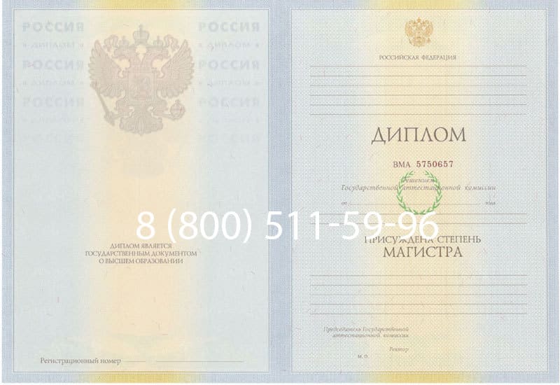 Купить Диплом магистра 2010-2011 годов в Перми