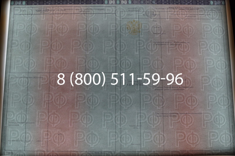 Заказать Диплом о высшем образовании 2014-2026 годов в Перми