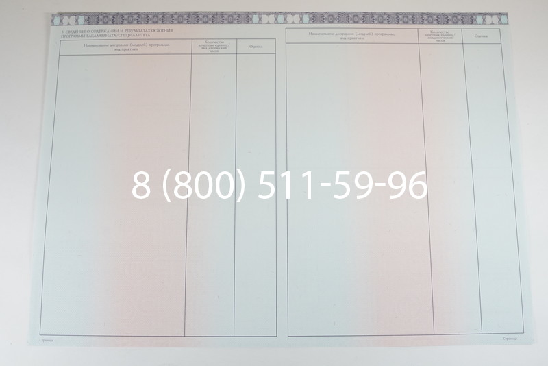 Диплом о высшем образовании 2014-2026 годов в Перми