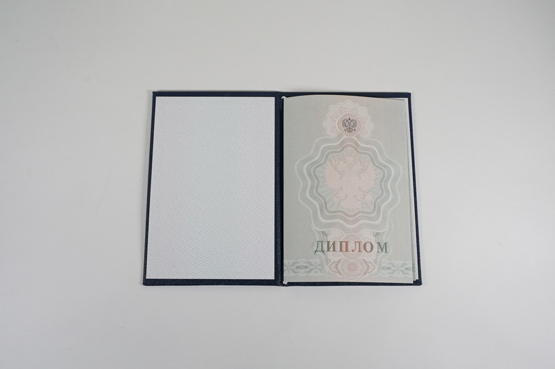 Диплом о начальном образовании  2007-2009 годов в Перми