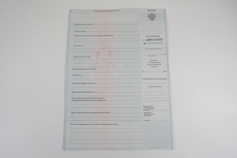 Диплом о начальном образовании  2007-2009 годов в Перми