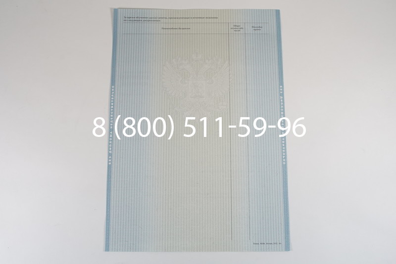 Диплом о высшем образовании 2012-2013 годов в Перми