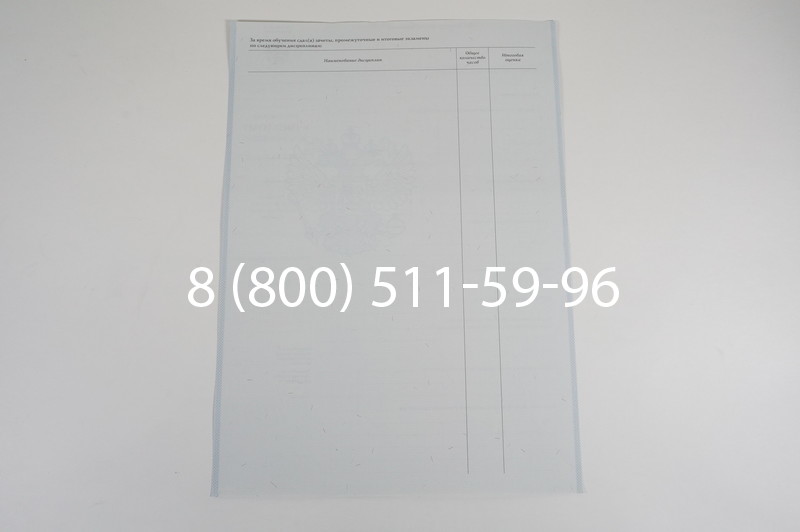 Диплом ПТУ 2007-2010 годов в Перми