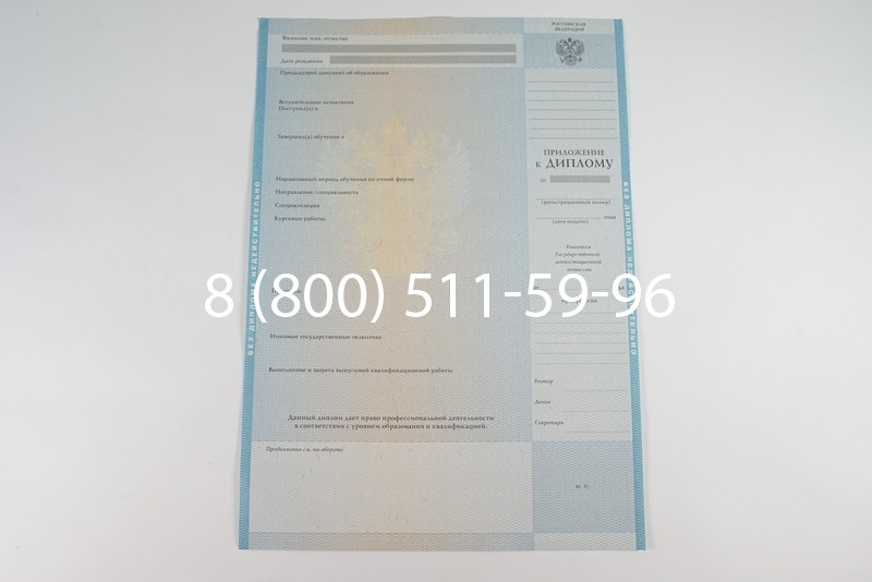 Диплом специалиста 2010-2011 годов в Перми