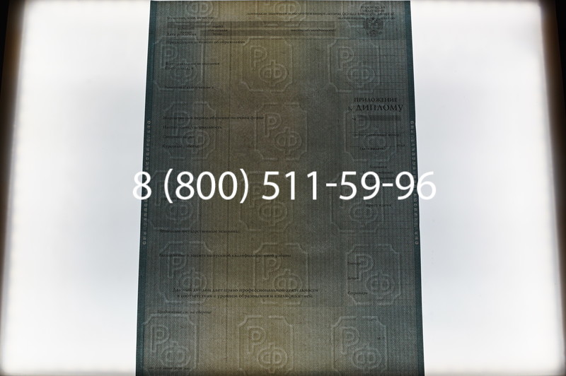 Заказать Диплом специалиста 2012-2013 годов в Перми