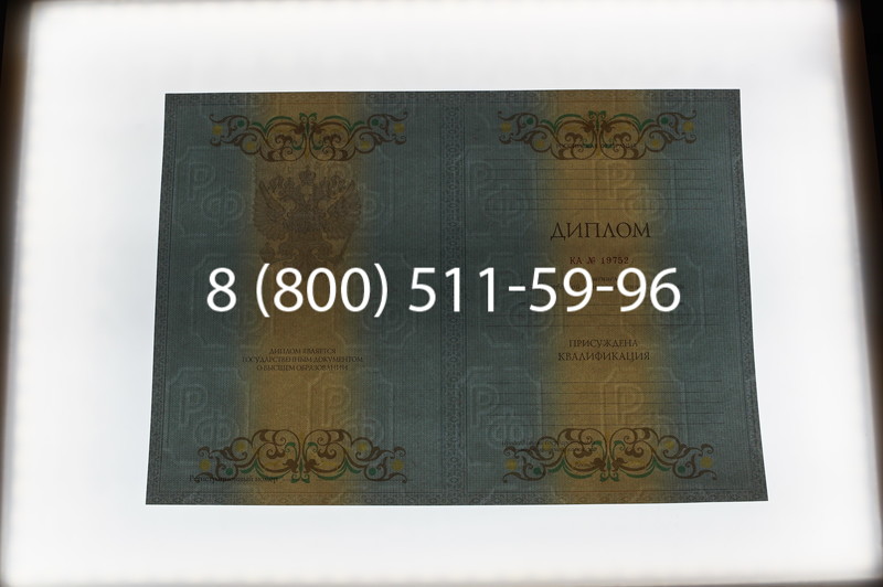 Заказать Диплом специалиста 2012-2013 годов в Перми