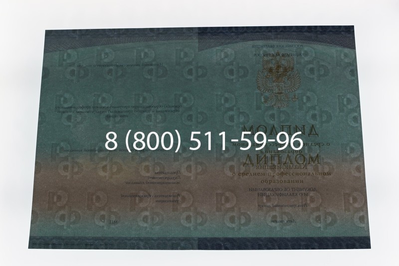 Диплом техникума (Спецбланк) 2014-2026 года в Перми
