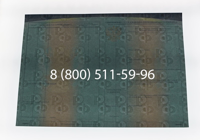 Диплом техникума (Спецбланк) 2014-2026 года в Перми