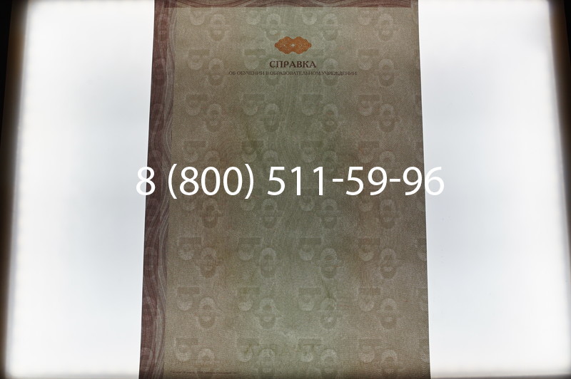 Купить Справка об обучении в Перми