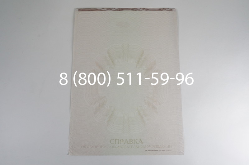 Заказать Справка об обучении в Перми