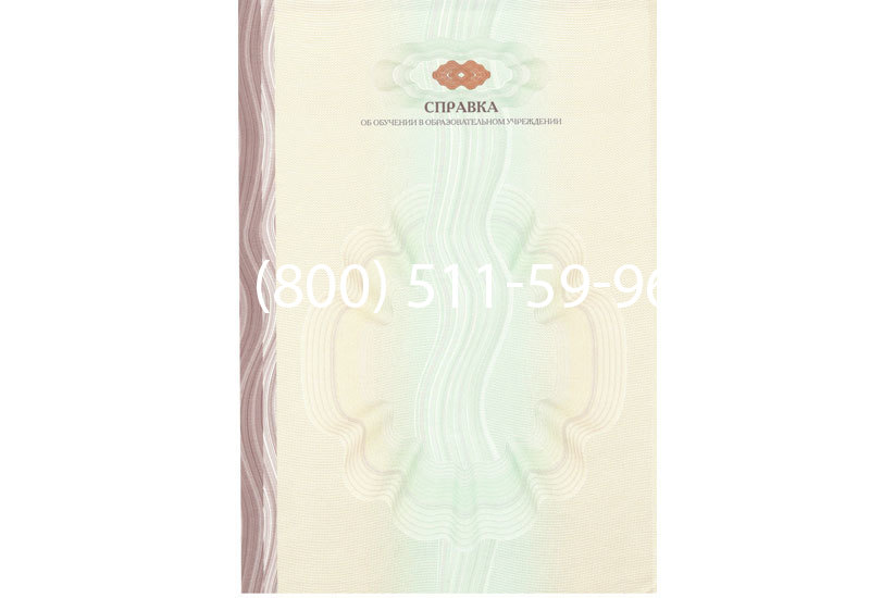 Купить Справка об обучении в Перми